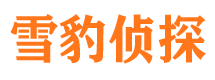 乌什侦探公司